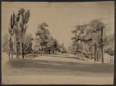 203043 Gezicht op de Maliebaan te Utrecht, vanaf de Biltstraat, met op de voorgrond de brug over de Biltsche Grift.